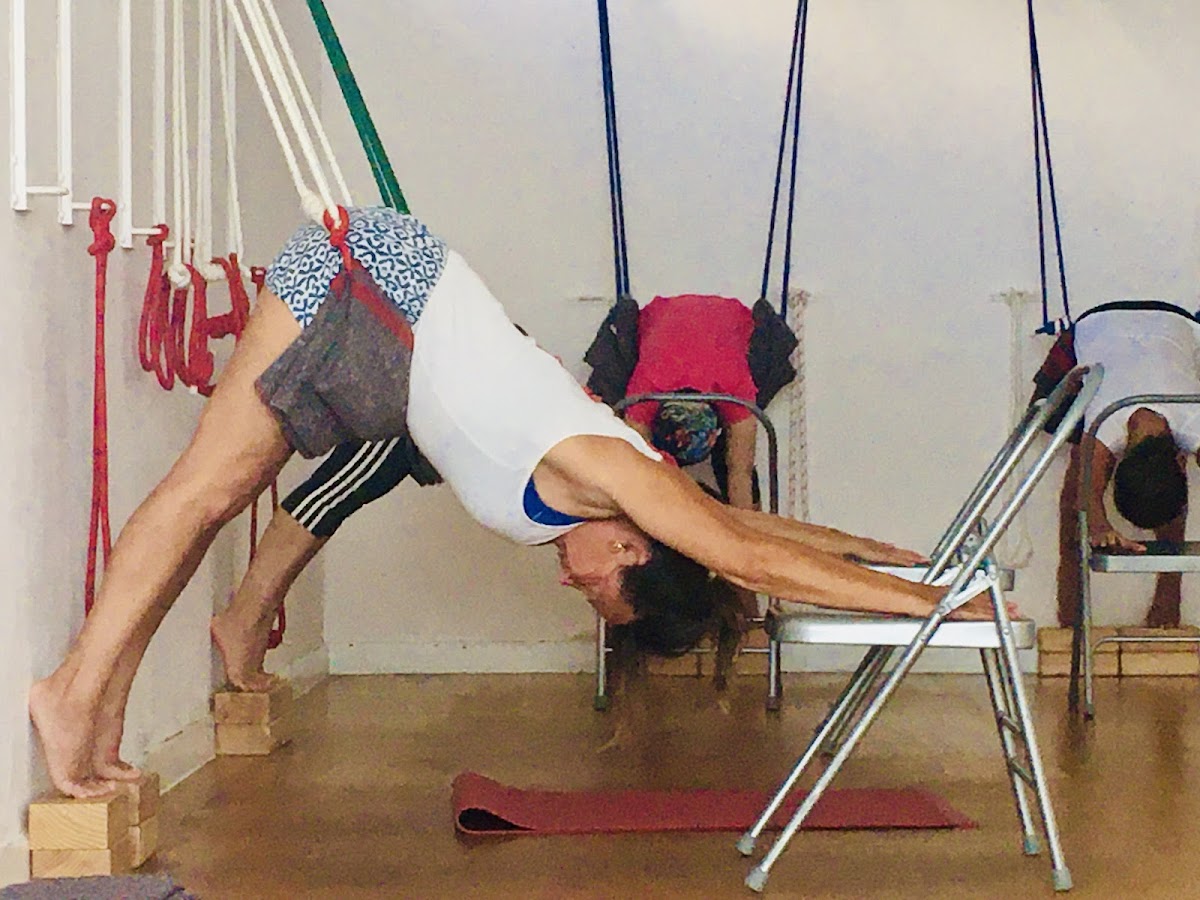 Centro de yoga Iyengar® photo 2