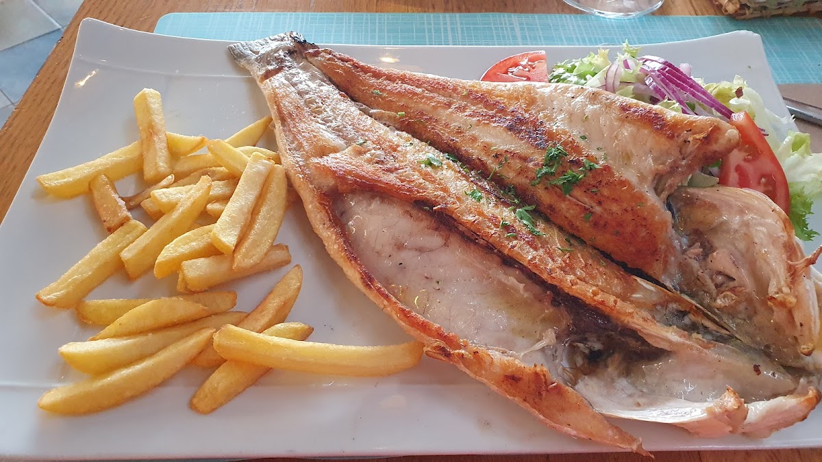 San Fish photo 3