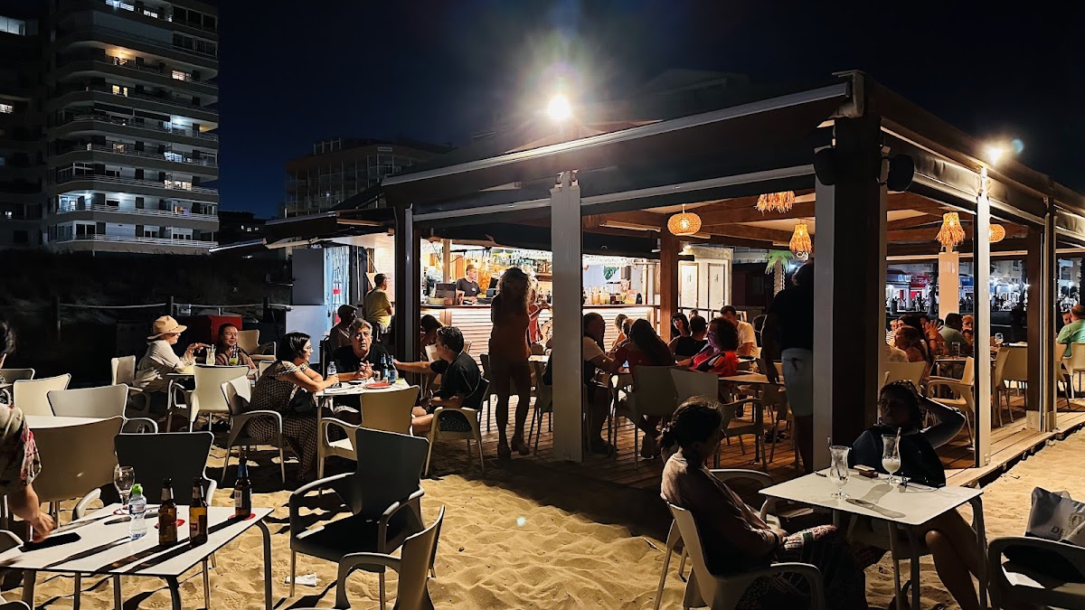 “Cayo Coco Beach Bar” photo 3