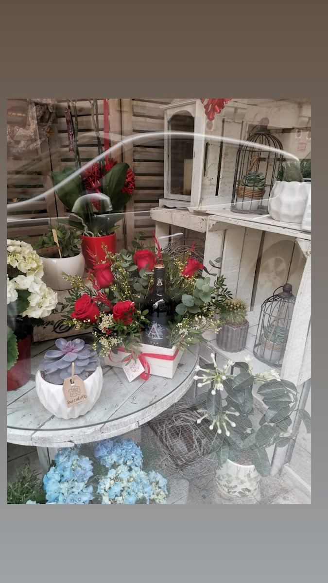 El Taller de la Flor photo 3