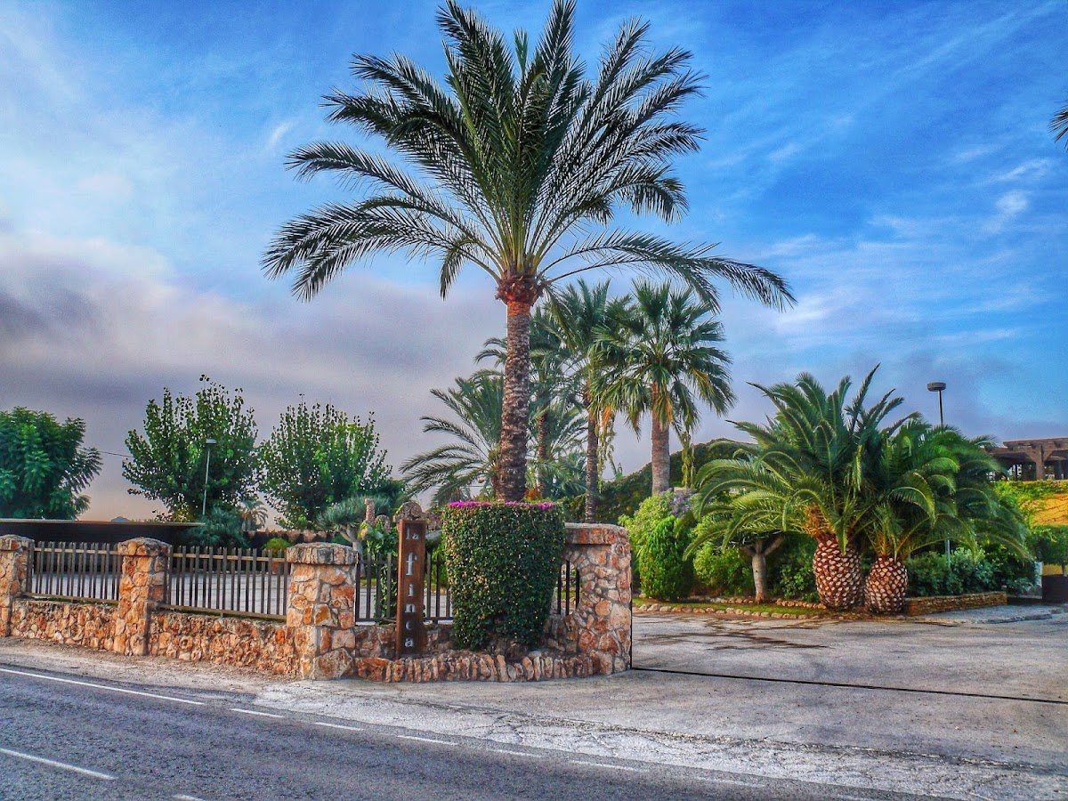 La Finca photo 3