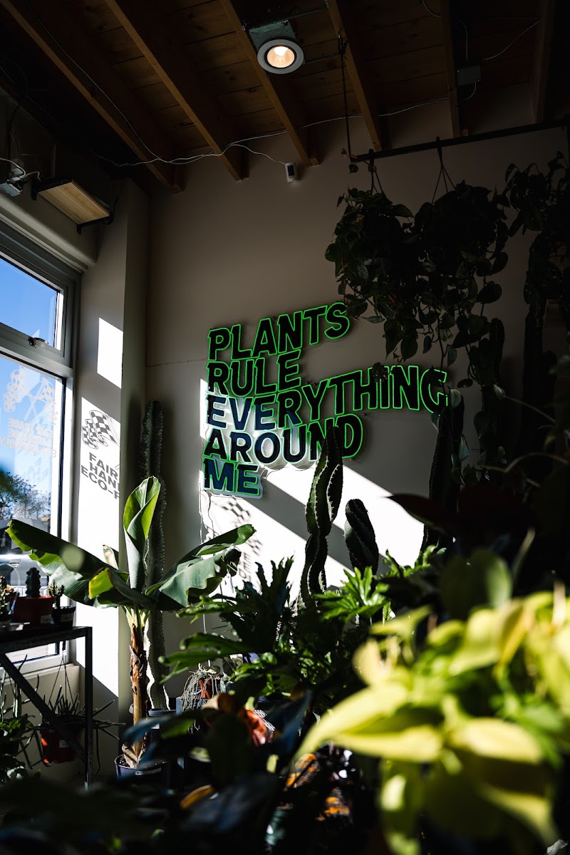 Denver Plant Club photo 2