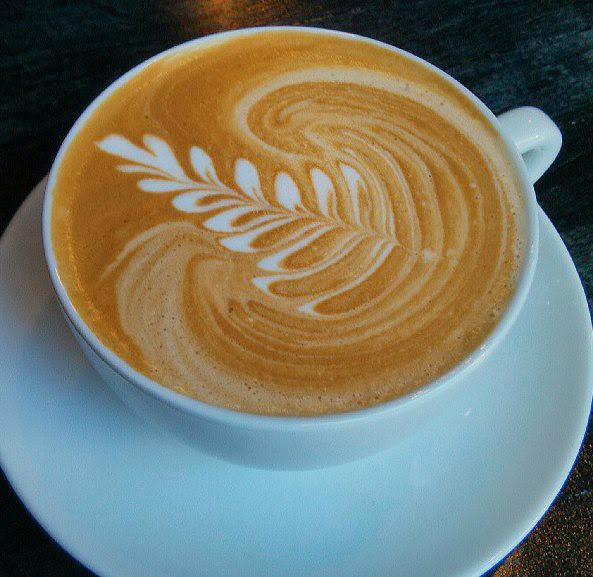 Novo Coffee photo 3