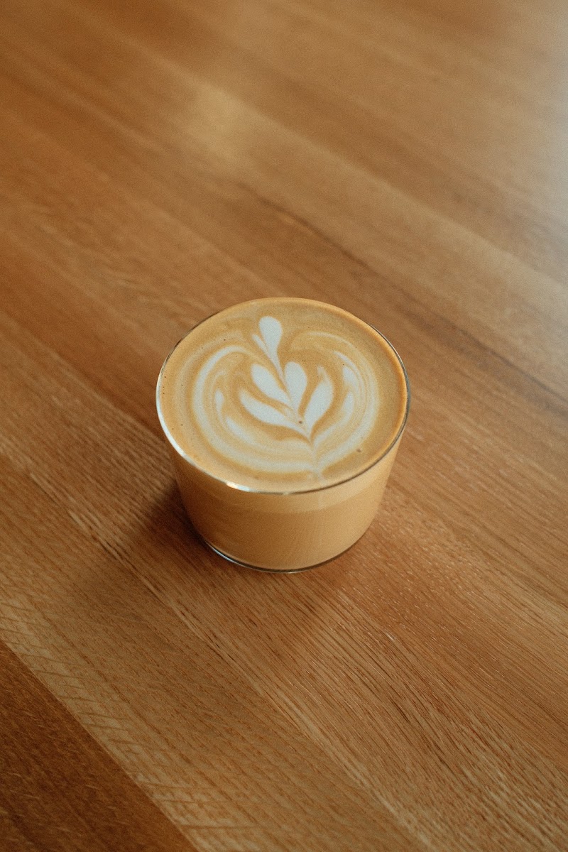 Little Owl Coffee - Populus photo 3