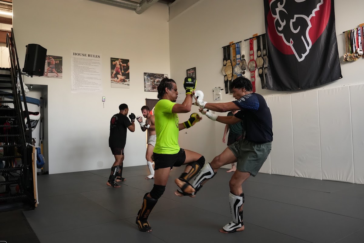 Subhounds Martial Arts and Jiu Jitsu photo 2