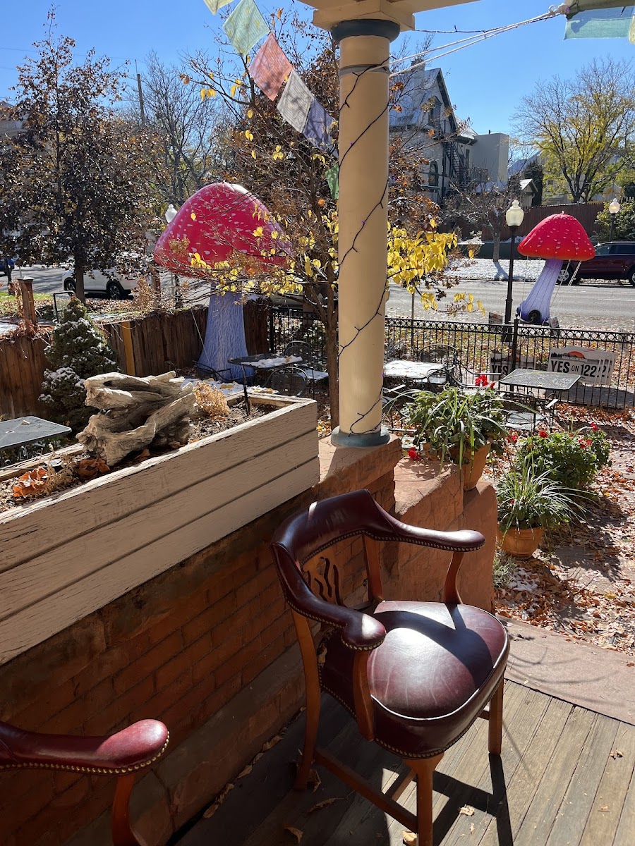 Plant Magic Cafe
