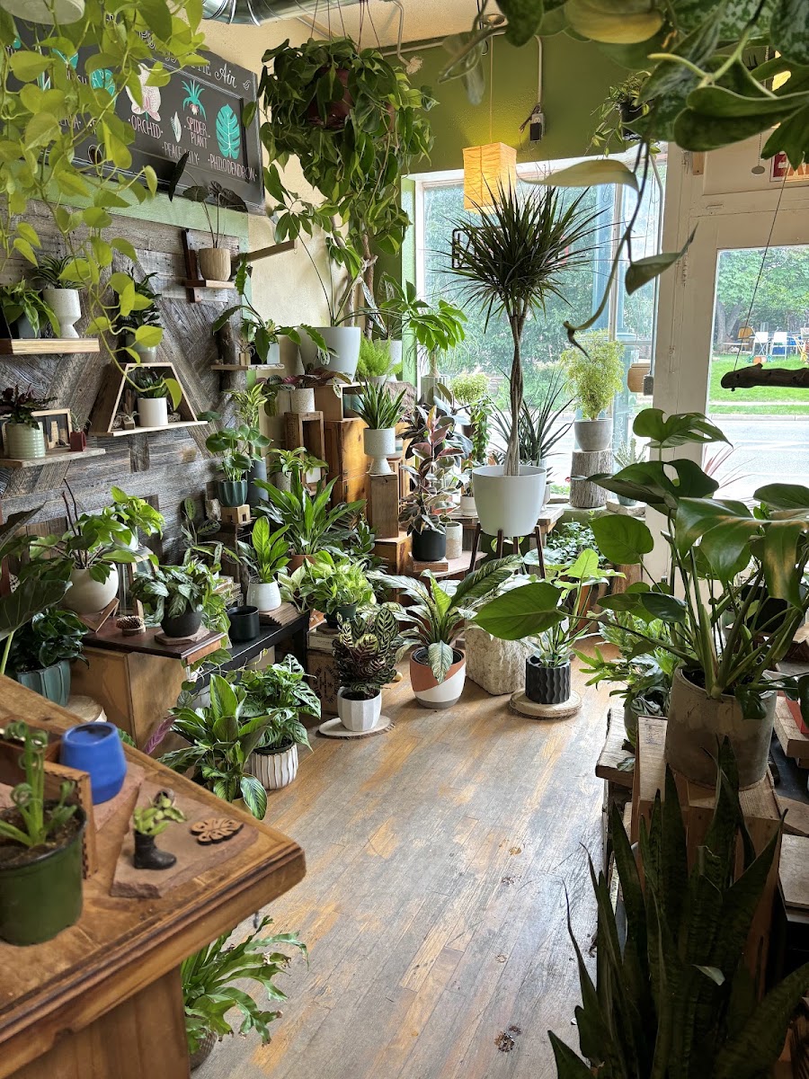 Planted photo 3