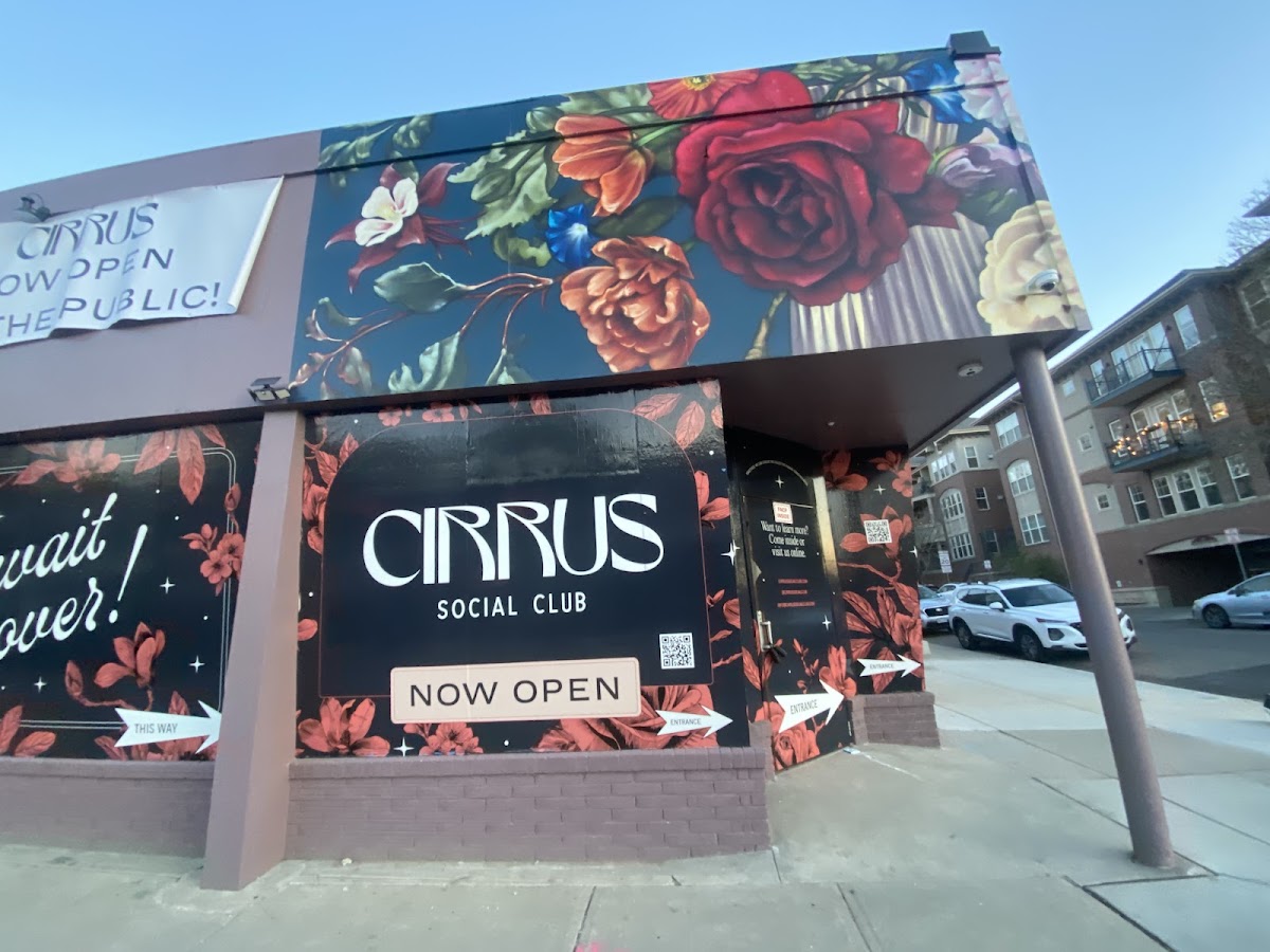 Cirrus Social Club: The First Class Sesh Experience