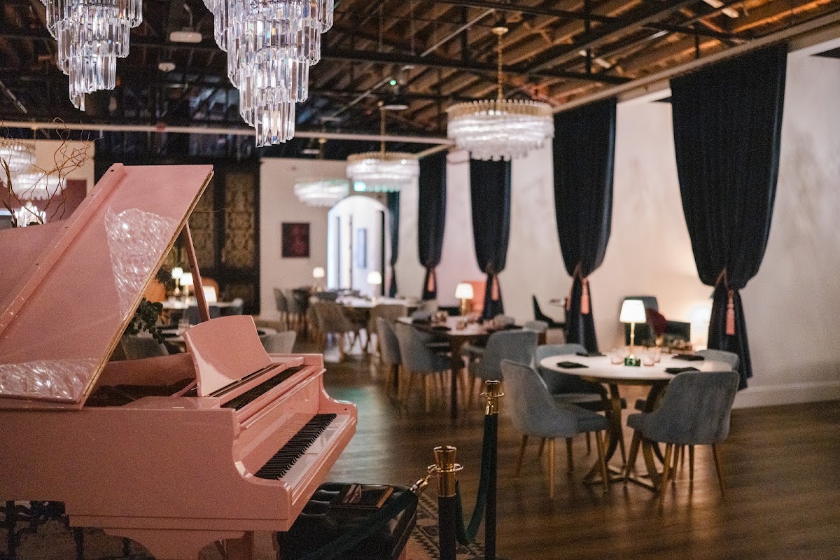 Cirrus Social Club: The First Class Sesh Experience photo 2