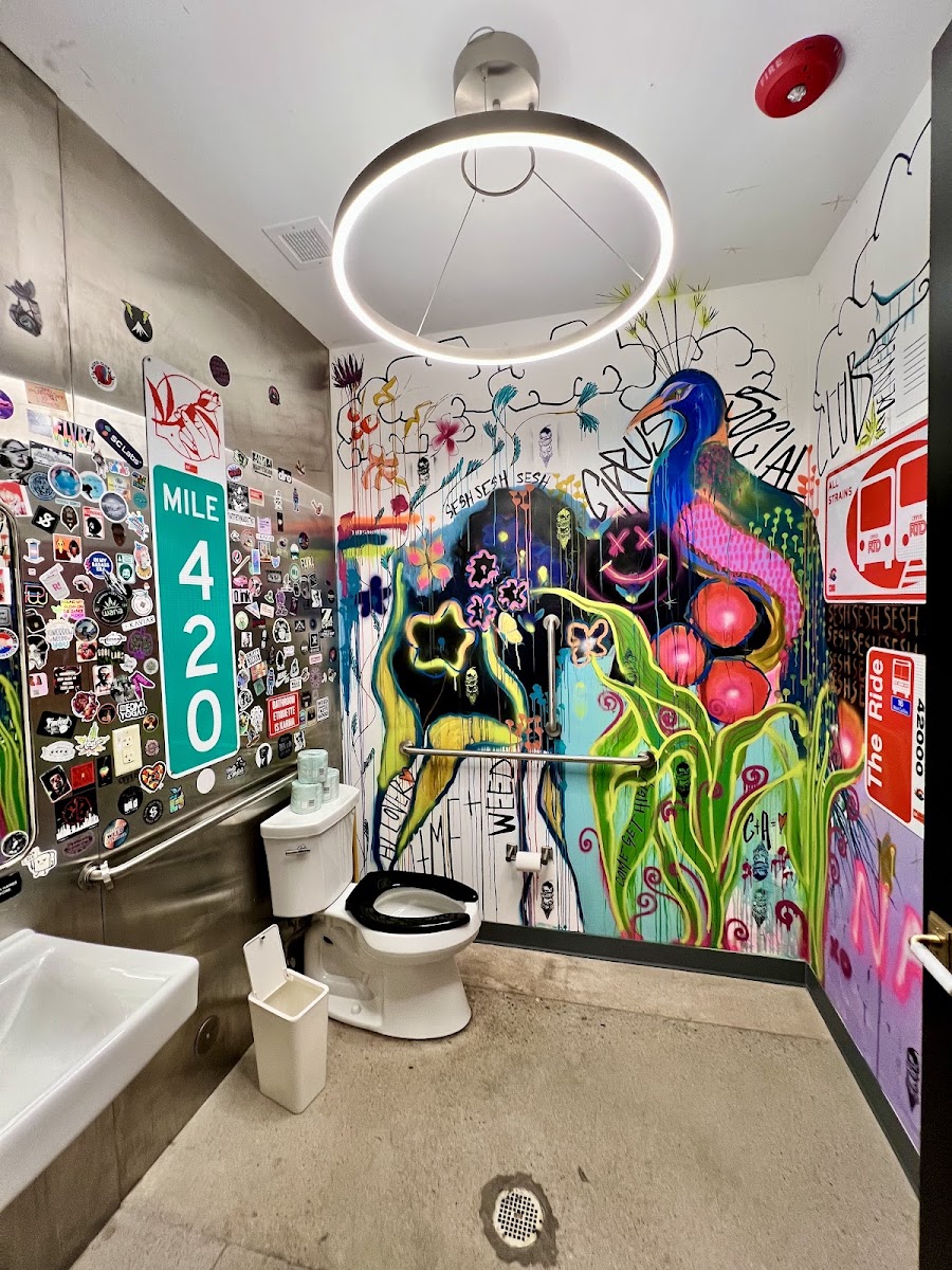 Cirrus Social Club: The First Class Sesh Experience photo 3