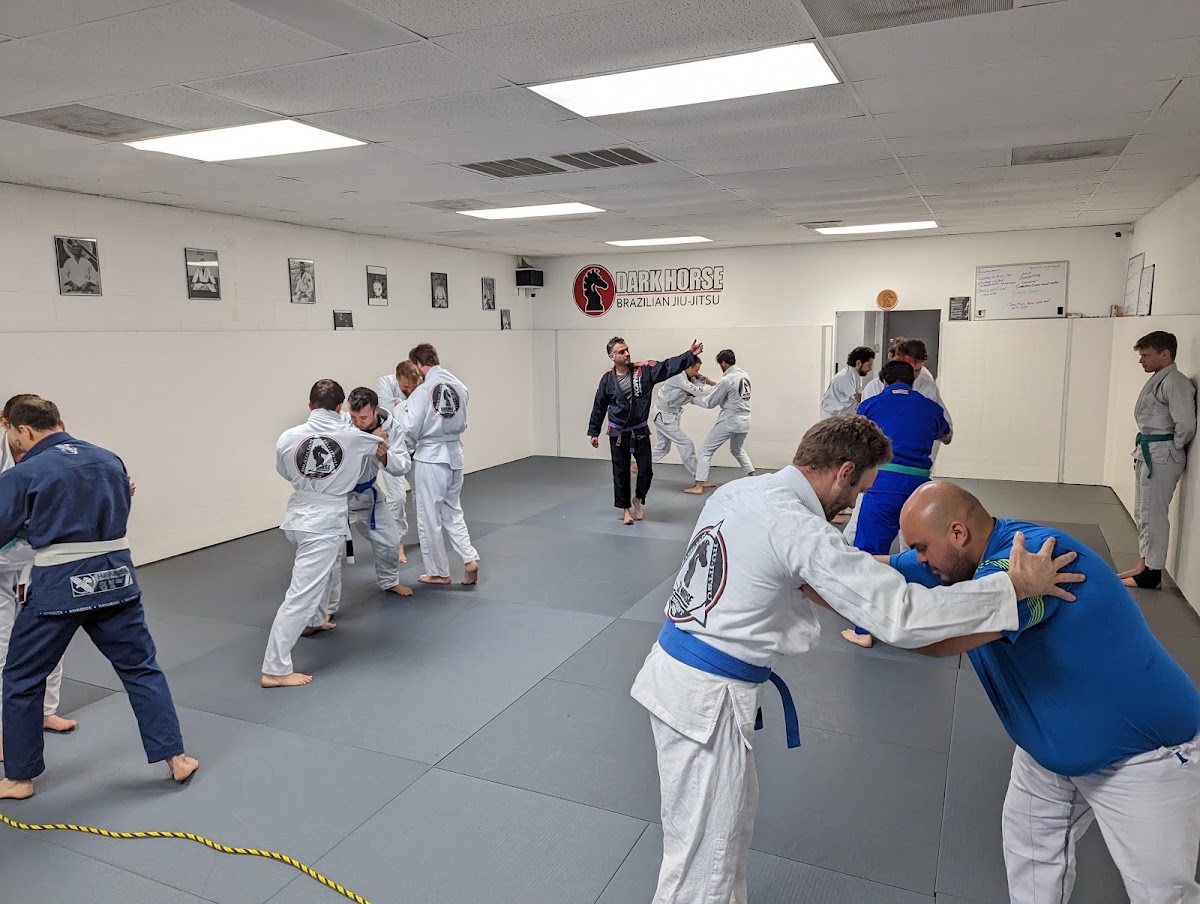 Dark Horse Combat Club photo 2