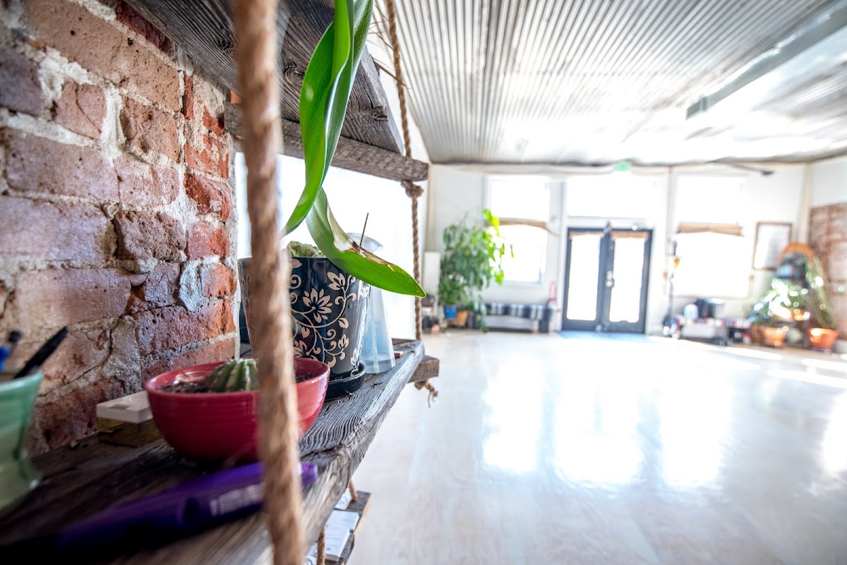 Urban Sanctuary photo 2