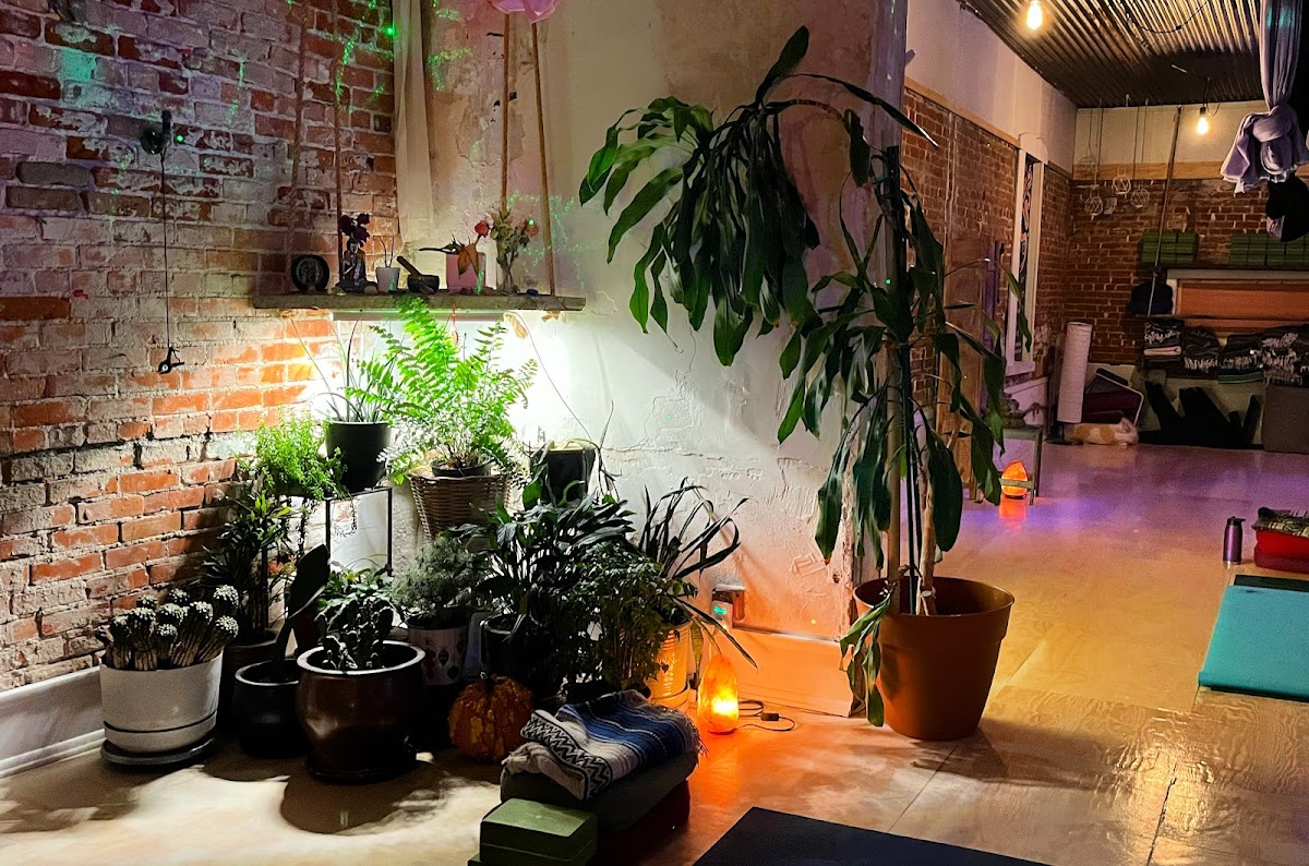 Urban Sanctuary photo 3