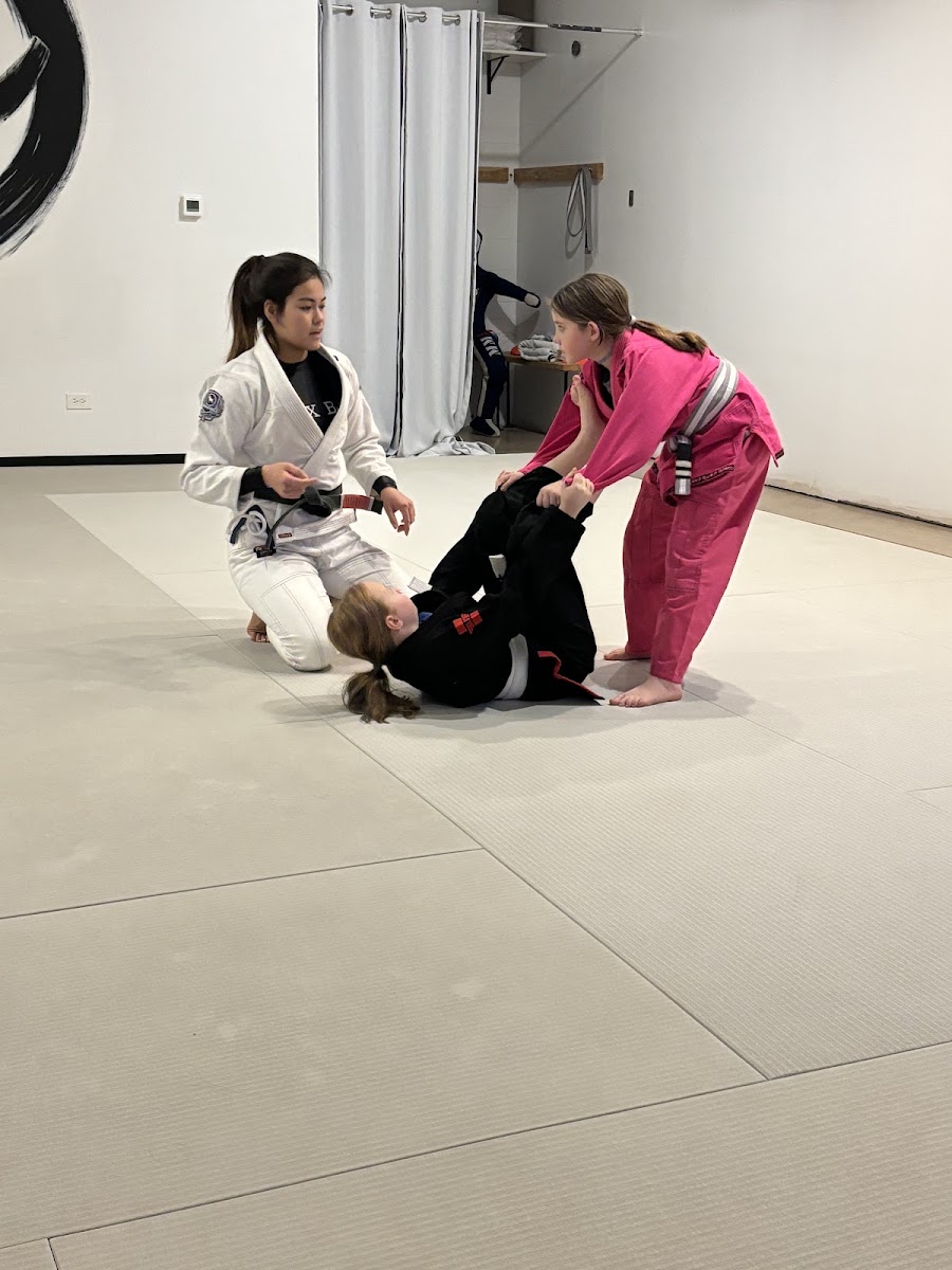 New Level Jiu-Jitsu photo 3