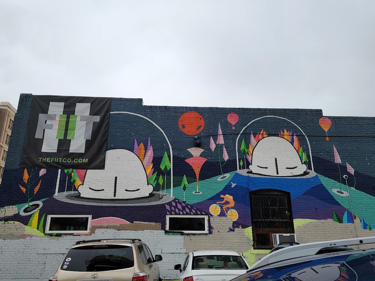 The FIIT co. photo 3