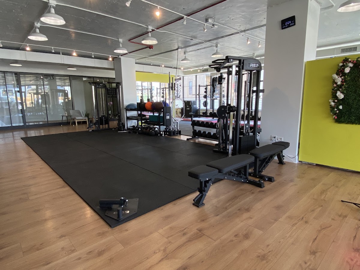 VIBE Gym and Wellness Collective photo 3