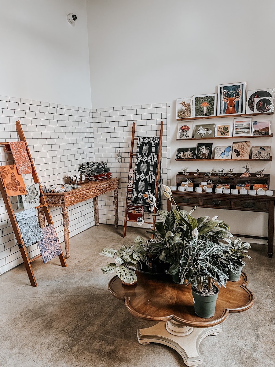 Fern and Skye Gallery LLC photo 3