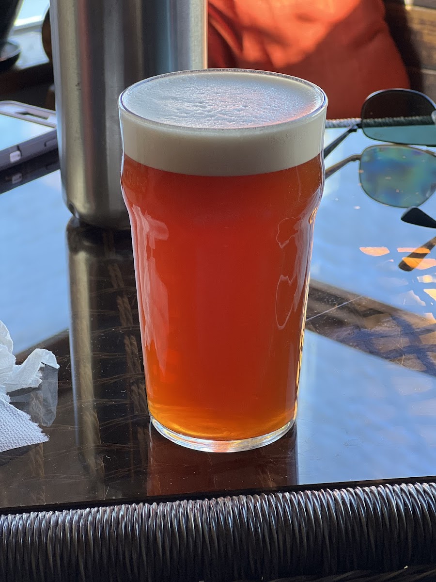 Hogshead Brewery photo 3