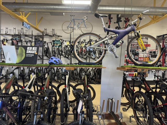 Campus Cycles photo 2