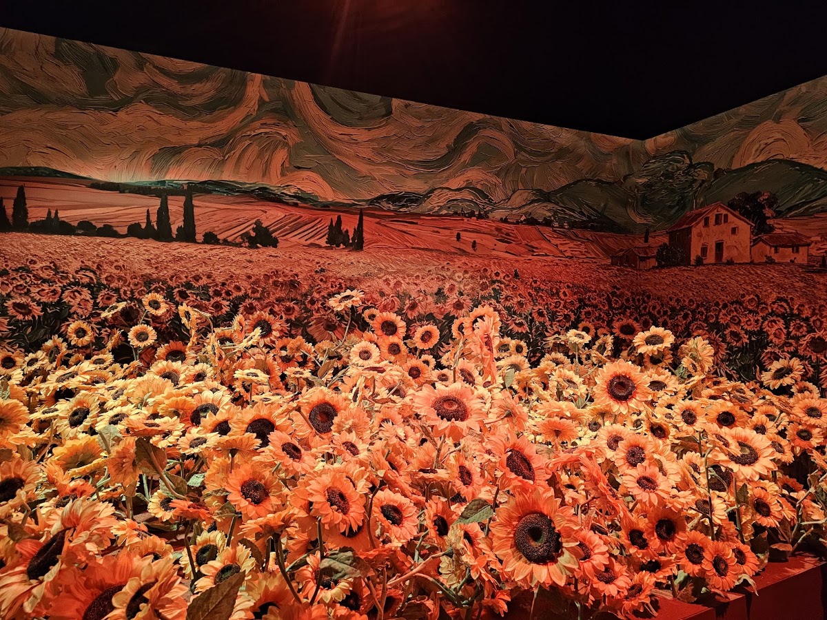 Van Gogh Denver: The Immersive Experience photo 2