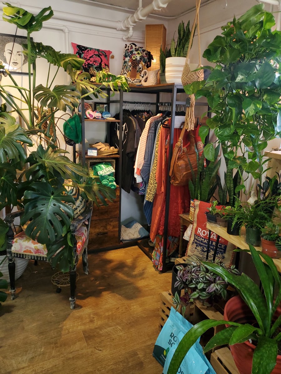 Tigerlily Goods • Denver Houseplants and Gift Shop photo 3
