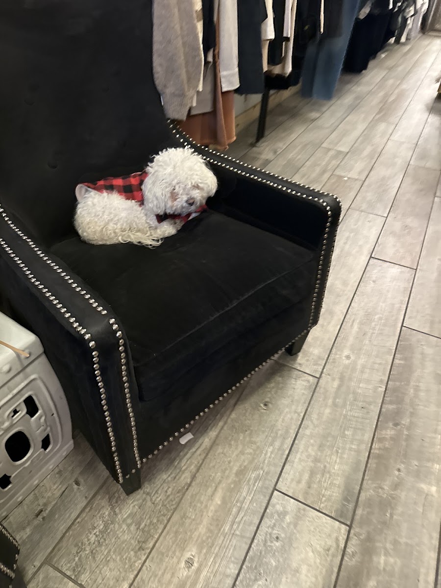Inspyre Boutique - Cherry Creek photo 3