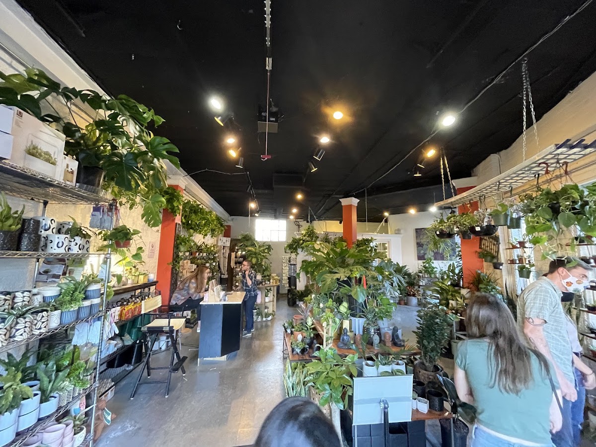 Plant Garage photo 2