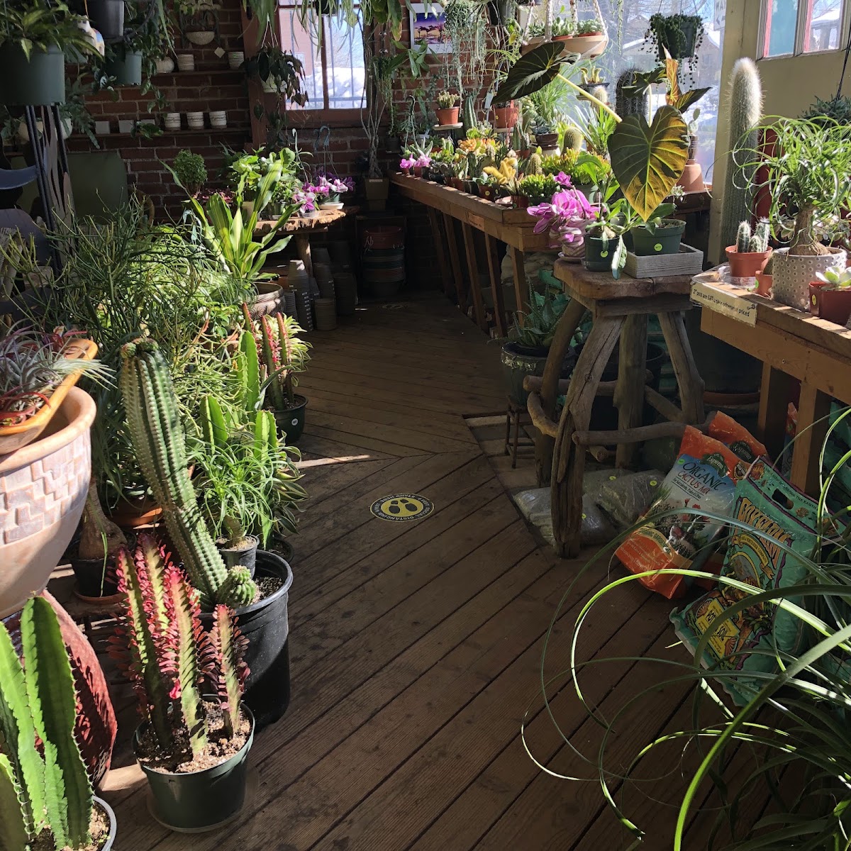 The Herbery photo 3