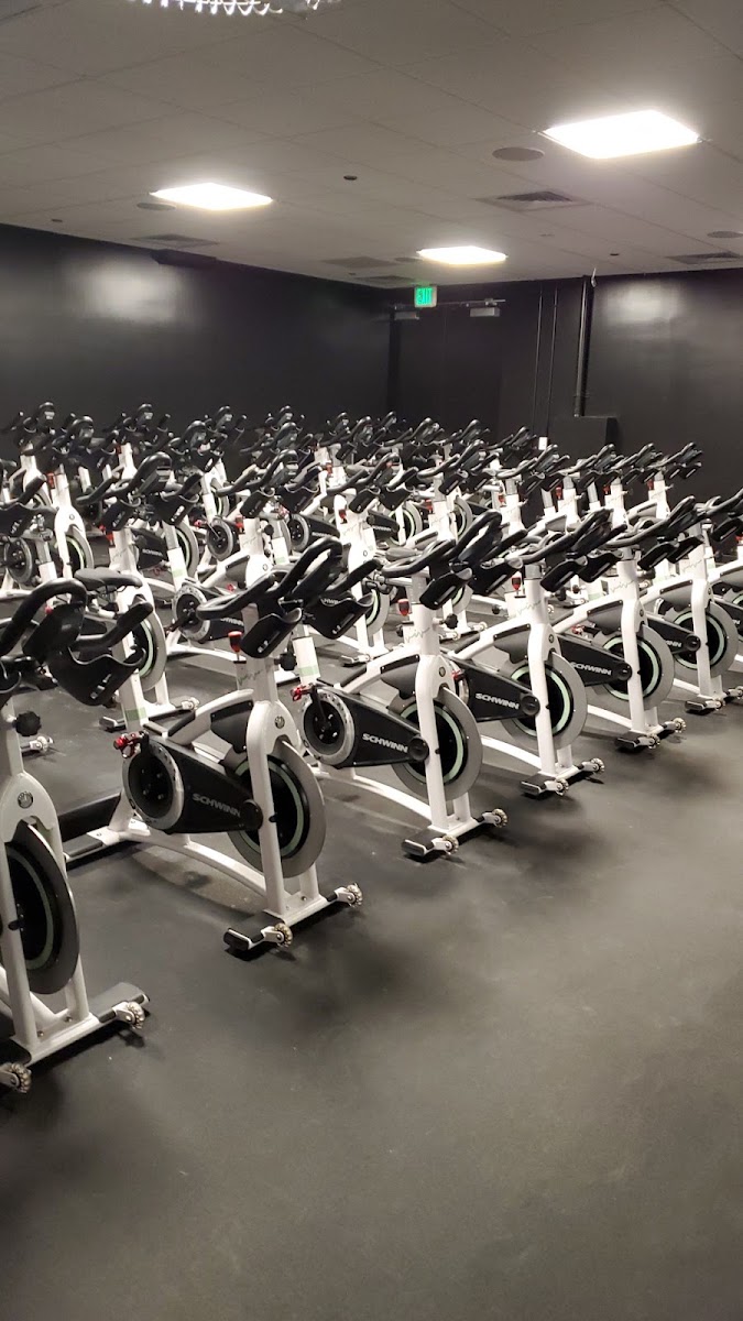 Viv Cycle photo 3