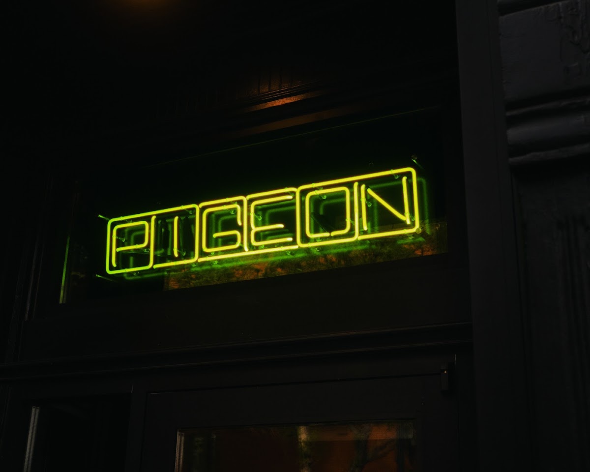PIGEON photo 3