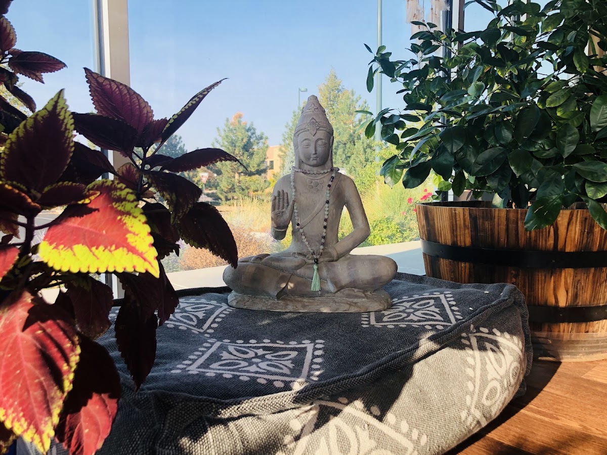 ROOT TO RISE YOGA photo 2