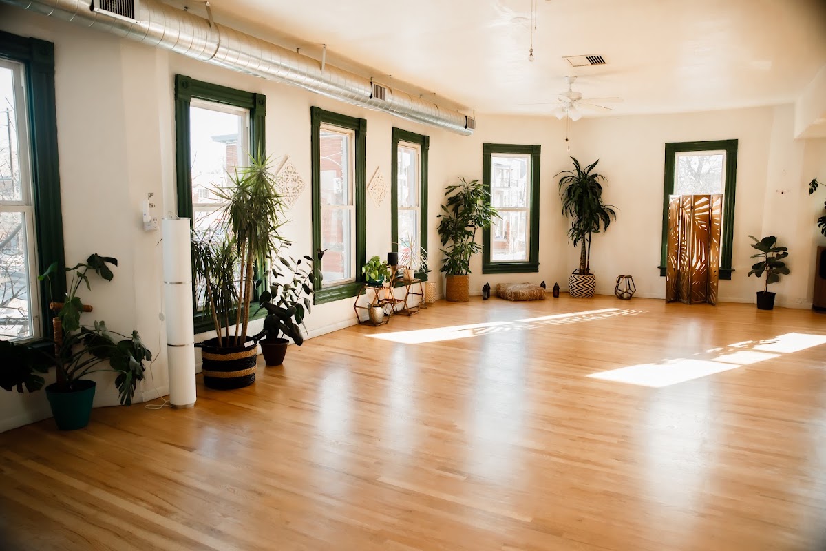 Rooted Heart Yoga and Wellness photo 3