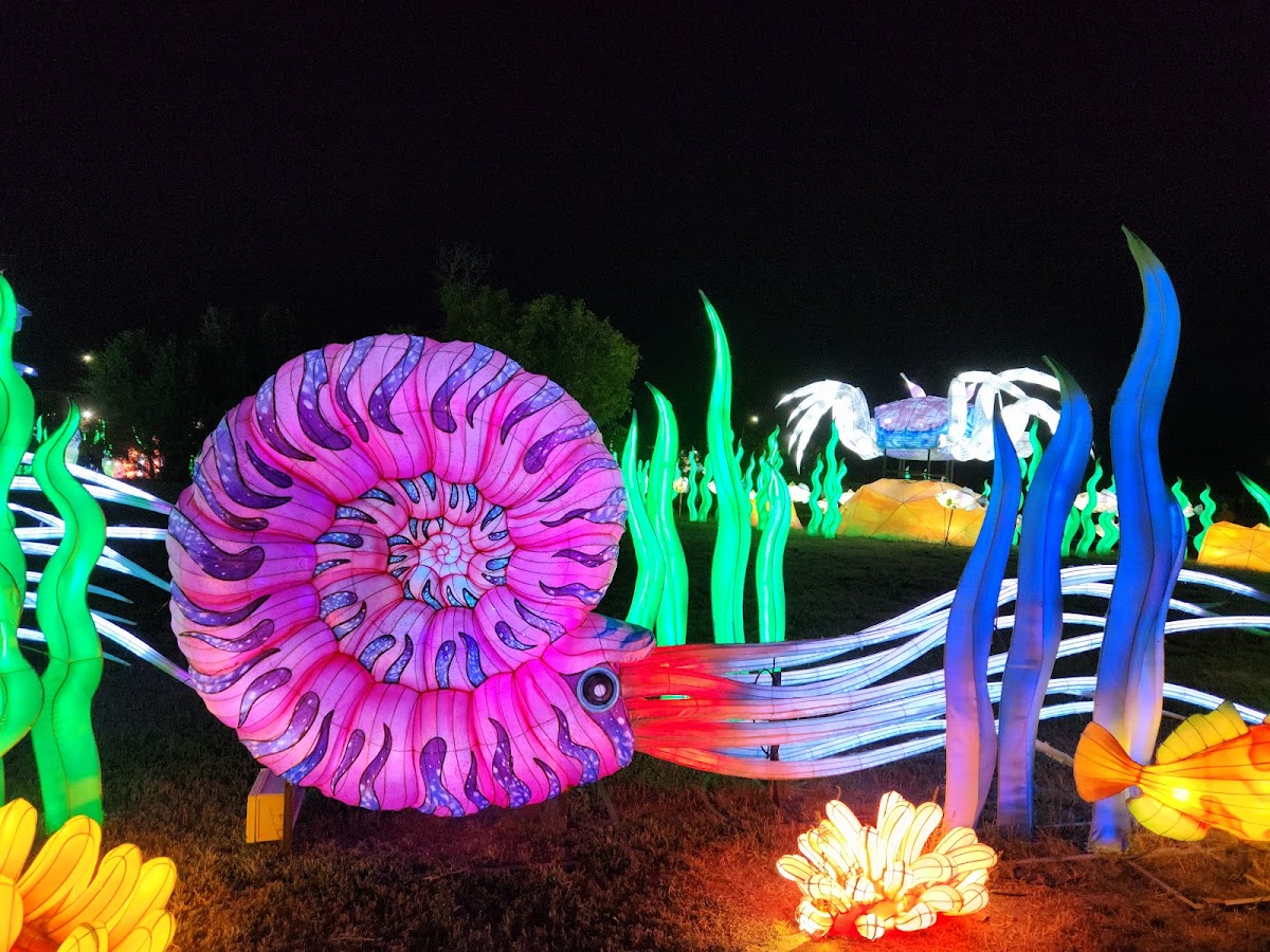 Bright Nights at Four Mile Historic Park photo 3