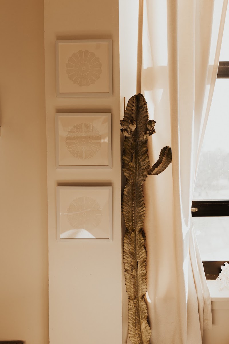 Rooted in Wellness Holistic Skin Studio photo 2