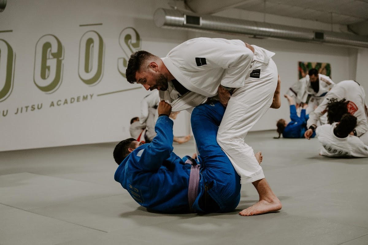 Lōgōs Jiu Jitsu photo 2